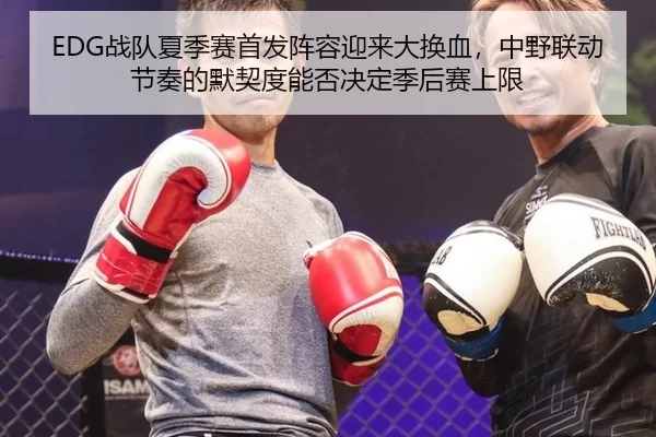 EDG战队夏季赛首发阵容迎来大换血，中野联动节奏的默契度能否决定季后赛上限